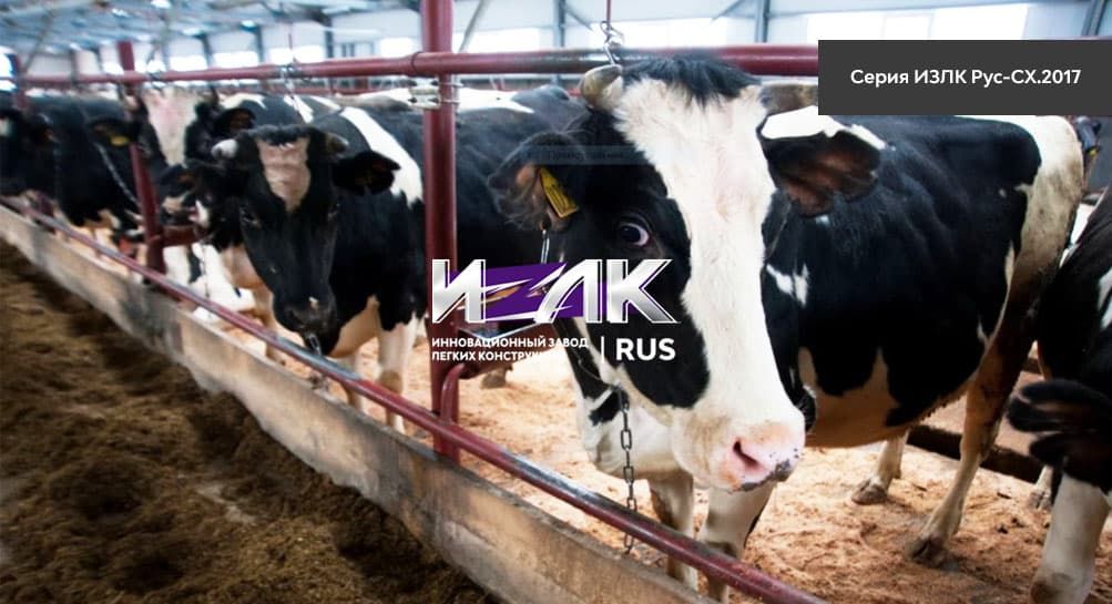 Основные виды коровников, эксплуатируемых животноводами Шахт и региона